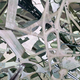Illustration for article titled I Can't Look At These Warped Airport Photos Without Getting Dizzy